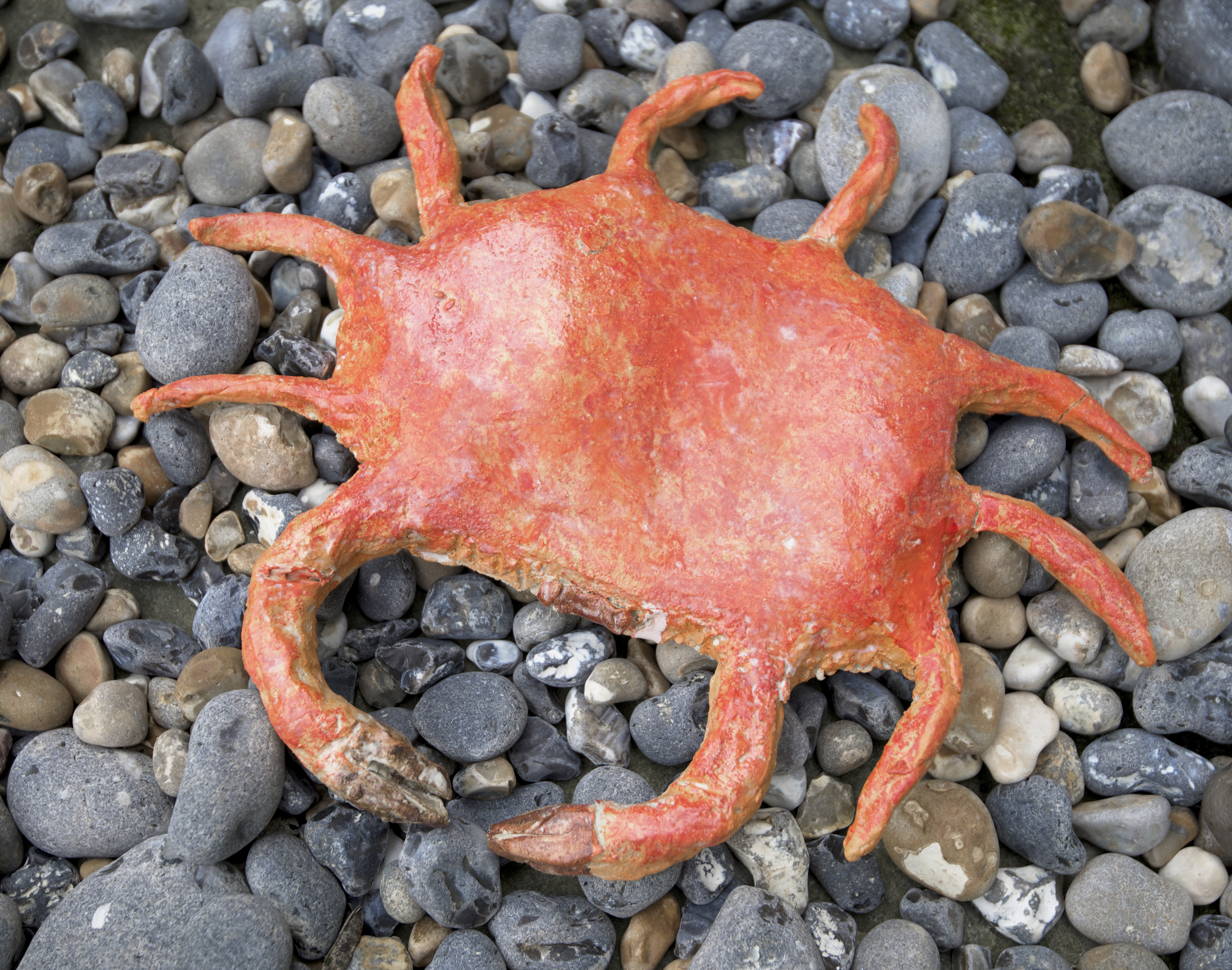 Psiche, Crab, 2016, glazed ceramic